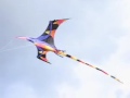 Giant 3D Blackwing Pterodactyl kite 2