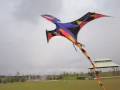 Giant 3D Blackwing Pterodactyl kite 2
