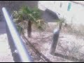 Parque llamado a desaparecer