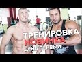 программа тренировок на з раза в неделю программа тренировок на з раза в неделю
