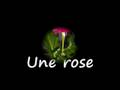videos de mick chéri et moii.wmv