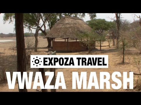 Vwaza Marsh Malawi