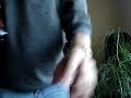 Acoustic Guitar Lessons