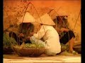 hello vietnam quynh anh +lyrics 