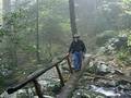 Dan crossing log footbridge on way to Rainbow Falls