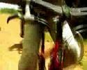 freeride mountain biking in suriname