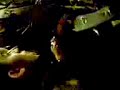 king Skill vs Perigoso