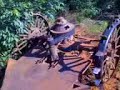 planta�ao eucalipto lassance mg