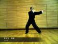 Traditional Yang Simplified Tai-Chi 24form JUNKO