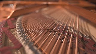 Piano Technician Series: The Basics of Tuning a Piano