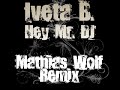 Iveta B. - Hey Mr. DJ (Mathias Wolf Remix)