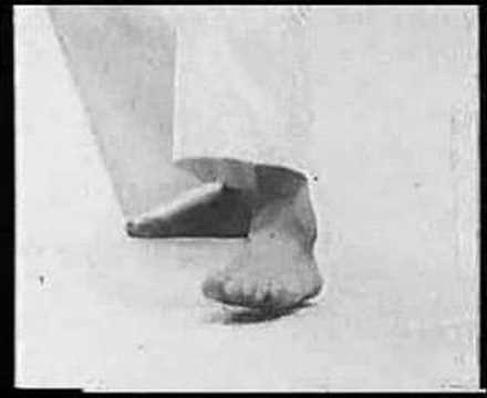 Tanaka Sensei Kizami Geri