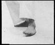 Tanaka Sensei Kizami Geri