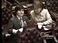 Neoliberalismo Salvaje