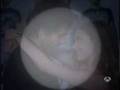 eclipse total del amor