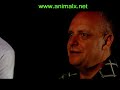 Part 8  Ghostly Creatures AXNMU