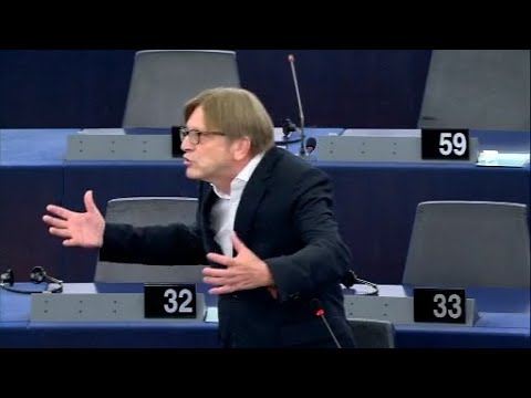 Asyldebatte: EU-Parlamentarier Verhofstadt liest Kurz ...