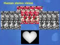 Computer Science and Illusion - Part 2
