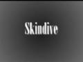 Skindive No more good guys