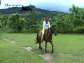 Horse riding Coron Island Philippines