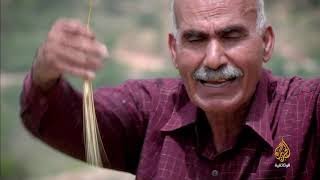 لفتا الصمود الأخير