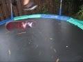 3 Random Trampoline Skate Tricks