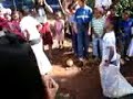 Dia del Alumno