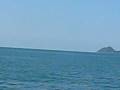 Spotting the swimmer off the bow