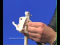 Skeleton Boom Top: Anatomy in Clay (TM) Skeleton Boom Top: Anatomy in Clay (TM)