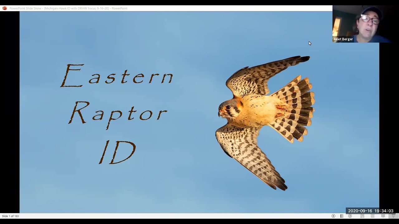 Identifying Raptors in Flight