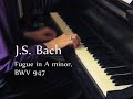 Ryan Layne Whitney: J.S. Bach, Fugue in a minor, BWV 947