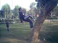 kimesh and vishal tree flip