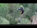 WOW Gainer !