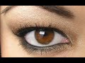 Metallic Brown Smokey Eye---The Easiest Smokey Eye Ever!!