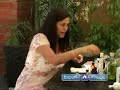 How to Blend and Use Aromatherapy Oils to Relieve Pain and Stress : Aromatherapy Massage Oil to Relieve Backache  Aromatherapy Stress