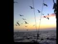 videos de matter@