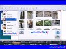 WhatTheFlickr 0.2 WhatTheFlickr 0.2