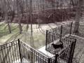 videos de Rebel chases a black bear
