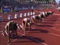 Gevaert Wins Gold in Hengelo