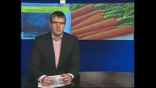 В Воронежскую область попали семена сорняков