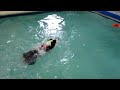 more swimming