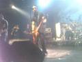 Broilers-Hexenjagd-l