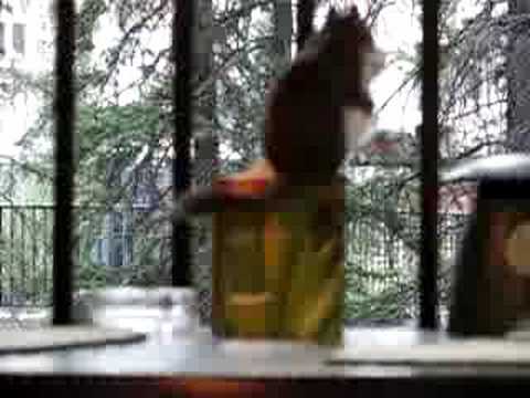 YouTube Трейлер