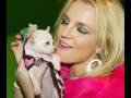 videos de My impression of Heaven On Earth