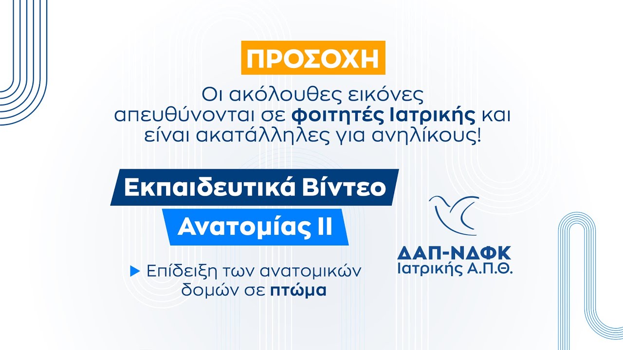 Μέρος 7ο