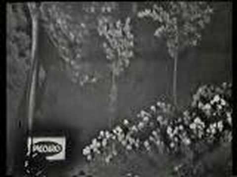 Massimo ranieri - rose rosse