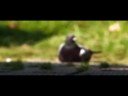 50i test 50i test