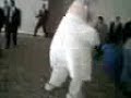 videos-divertidos