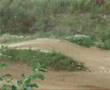 Enduro Rallye Cup MSC Werl 22.07.07