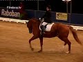 Gea vd Putte - de Vries